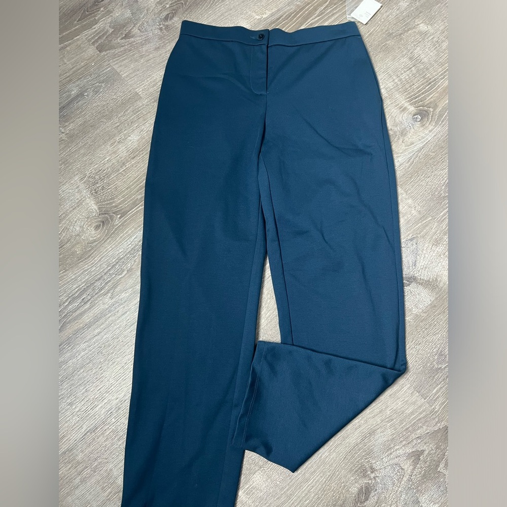 NWT Eileen Fisher Storm Slouchy Ankle Pant-‎ Small P